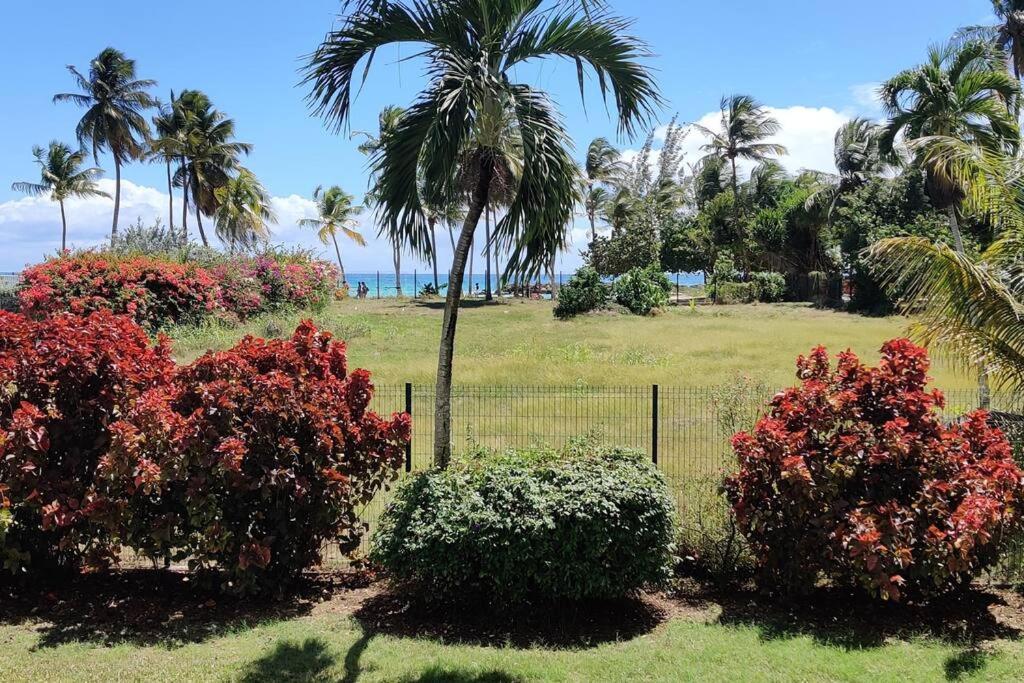 Parfum Des Iles - Vue Mer, Plage A 30M Et Piscine En Option Le Gosier  Exterior photo