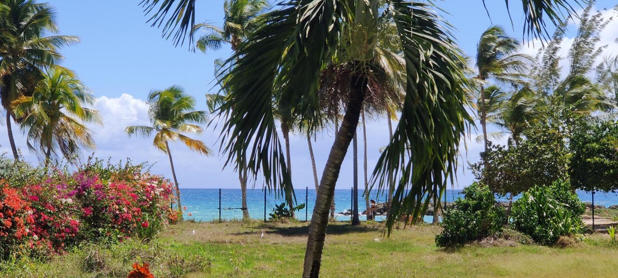 Parfum Des Iles - Vue Mer, Plage A 30M Et Piscine En Option Le Gosier  Exterior photo