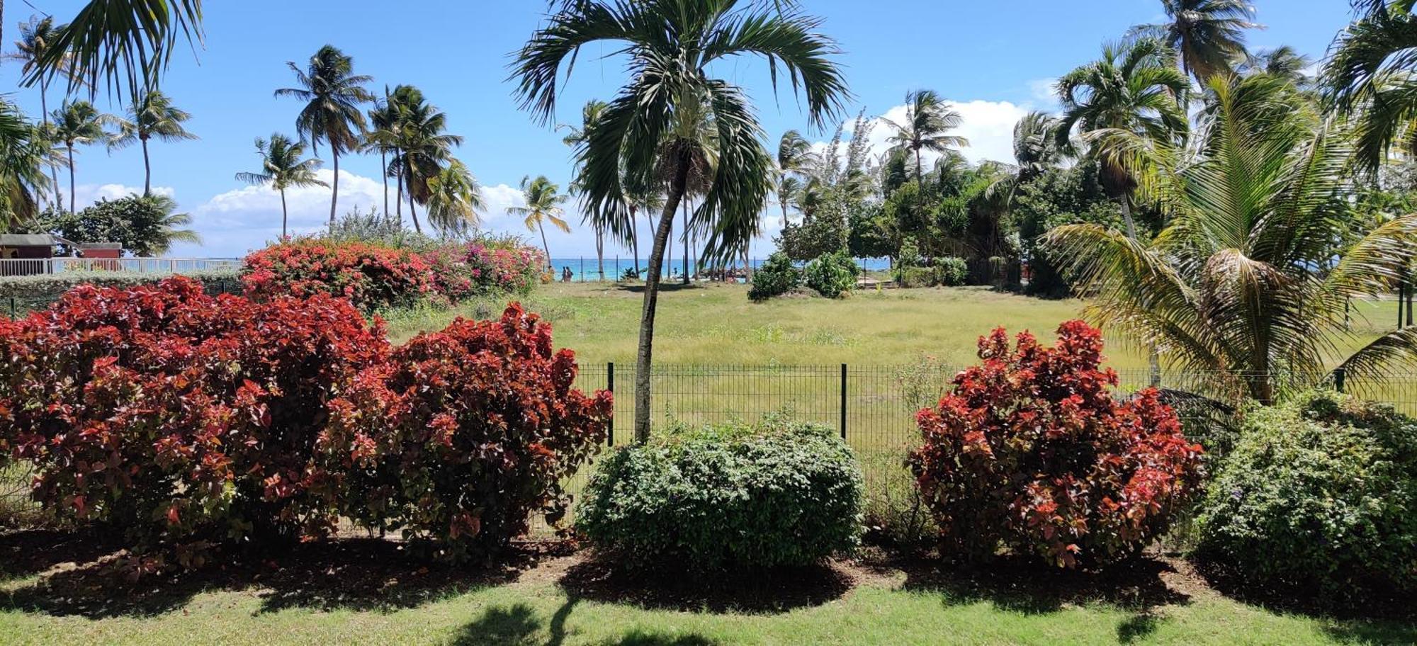Parfum Des Iles - Vue Mer, Plage A 30M Et Piscine En Option Le Gosier  Exterior photo